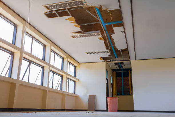 Best Professional water damage repair  in Valle Vista, AZ