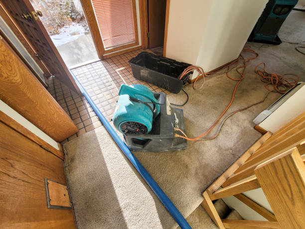 , AZ Water damage restoration Company