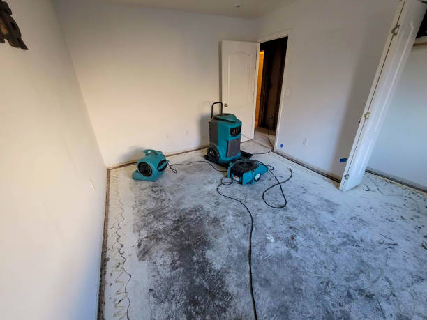 24/7 water damage repair in AZ