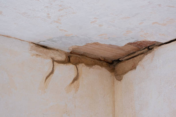 Best Residential water damage restoration  in Valle Vista, AZ