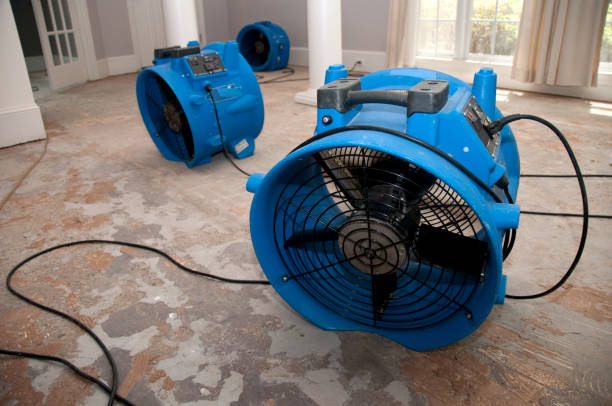 Sewage cleanup and water damage restoration in AZ