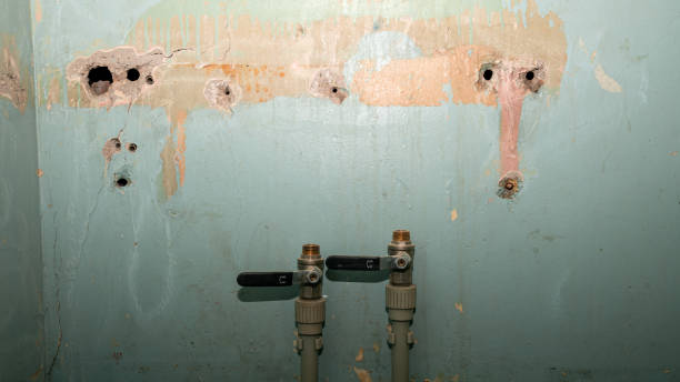 Best Water damage restoration process  in Valle Vista, AZ