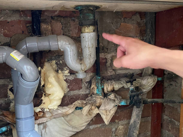 Local water damage restoration in AZ